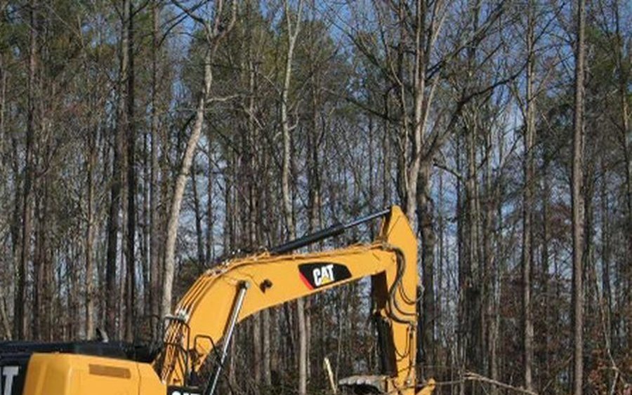 Tree cutting and removal by MEB Enterprises in Minnesota